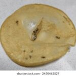 20095期彩票开奖号码结果查询与公布 16u8y64t1