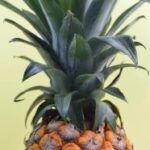 20084期双色球开奖结果公布:幸运号码揭晓 4a2xy