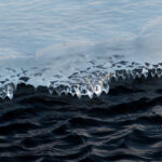 2008年3D彩票全年开奖结果完整回顾与整理 66eee2byf