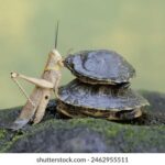 2008224期双色球开奖号码结果查询 7dzukl8u8t