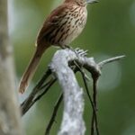 2008年全年开奖资料完整版汇总查询 9uzretk4l