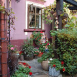 2008153期福彩双色球开奖结果查询与中奖号码公布 b00yl0fwe