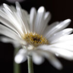 2007年3D彩票开奖号码三点全记录 h8ym6aymjd