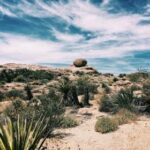 2008年全年完整历史开奖记录数据汇总 lit7mpjb