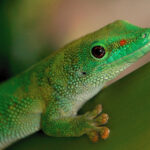 2008年福利彩票开奖结果查询与回顾 sm93f