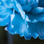 20080期大乐透开奖结果查询与号码走势分析 thaufp3z