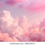 2009年3D开奖历史数据完整统计与查询 ztgit153